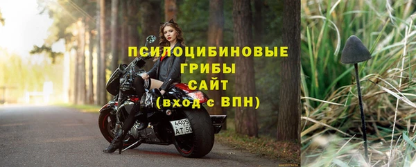 твердый Абаза