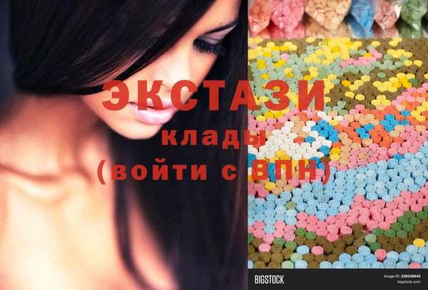 гашик Алексин