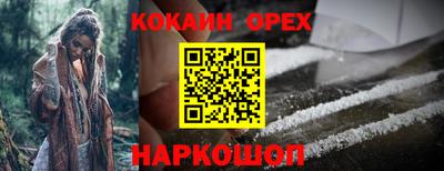ПСИЛОЦИБИНОВЫЕ ГРИБЫ Коммунар