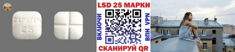 ЛСД экстази кислота  даркнет сайт  Котовск 