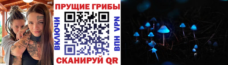 Псилоцибиновые грибы мицелий как найти закладки Котовск