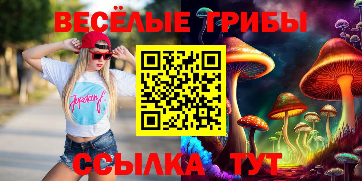 Псилоцибиновые грибы MAGIC MUSHROOMS  Вход с VPN  Псилоцибиновые грибы MAGIC MUSHROOMS  Котовск 